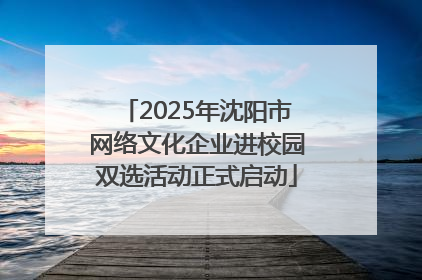 2025年沈阳市网络文化企业进校园双选活动正式启动