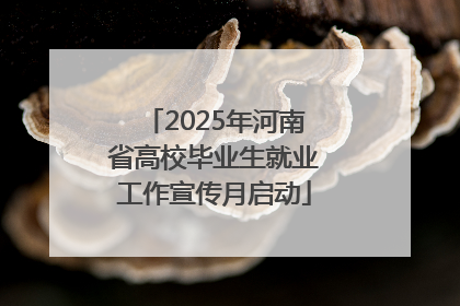 2025年河南省高校毕业生就业工作宣传月启动