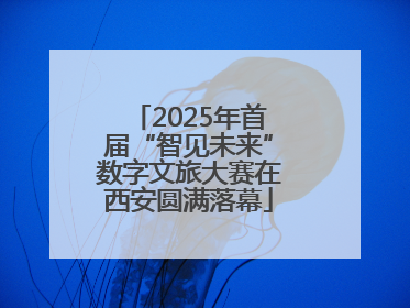 2025年首届“智见未来”数字文旅大赛在西安圆满落幕