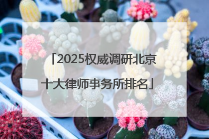 2025权威调研北京十大律师事务所排名
