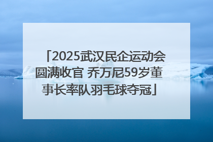 2025武汉民企运动会圆满收官 乔万尼59岁董事长率队羽毛球夺冠