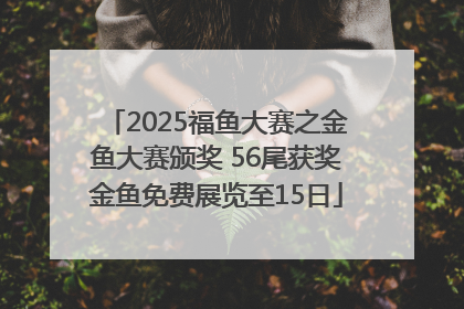 2025福鱼大赛之金鱼大赛颁奖 56尾获奖金鱼免费展览至15日