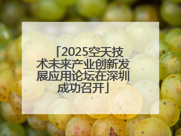 2025空天技术未来产业创新发展应用论坛在深圳成功召开
