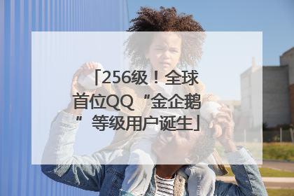 256级！全球首位QQ“金企鹅”等级用户诞生