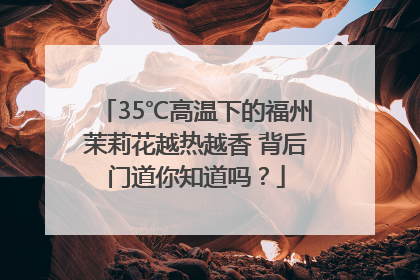 35℃高温下的福州茉莉花越热越香 背后门道你知道吗？
