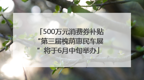 500万元消费券补贴 “第三届槐荫惠民车展”将于6月中旬举办
