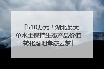 510万元！湖北最大单水土保持生态产品价值转化落地孝感云梦
