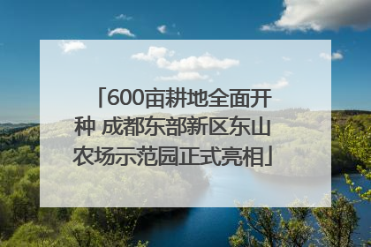600亩耕地全面开种 成都东部新区东山农场示范园正式亮相