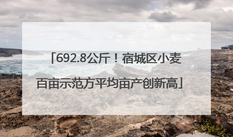 692.8公斤！宿城区小麦百亩示范方平均亩产创新高