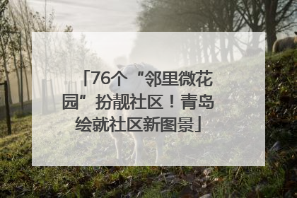 76个“邻里微花园”扮靓社区！青岛绘就社区新图景