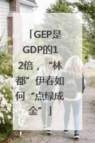 GEP是GDP的12倍，“林都”伊春如何“点绿成金”