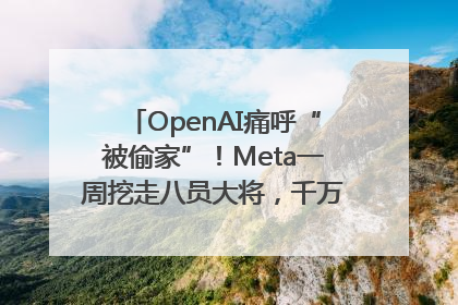 OpenAI痛呼“被偷家”！Meta一周挖走八员大将，千万美元薪酬战开打